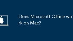 Does Microsoft Office work on Mac?