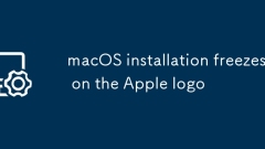 L'installation de macOS se fige sur le logo Apple