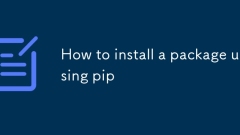 PIPを使用してパッケージをインストールする方法