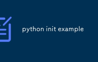 python init example