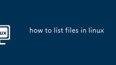 how to list files in linux