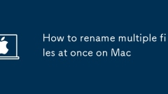 How to rename multiple files at once on Mac