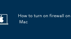 How to turn on firewall on Mac