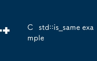 c std :: is_same示例