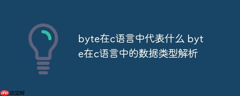byte在c语言中代表什么 byte在c语言中的数据类型解析