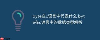 byte在c语言中代表什么 byte在c语言中的数据类型解析