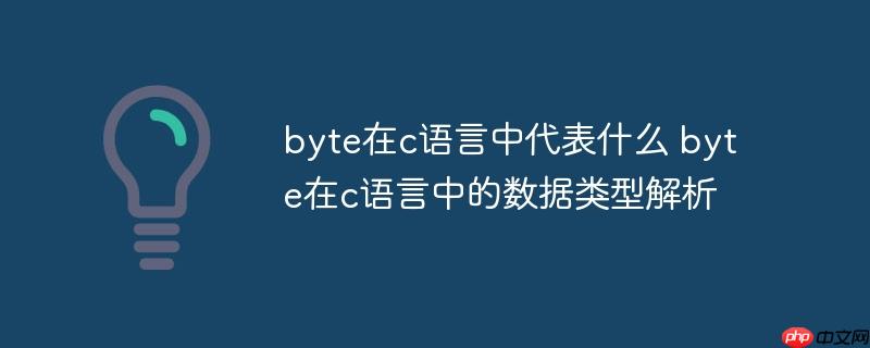 byte在c语言中代表什么 byte在c语言中的数据类型解析