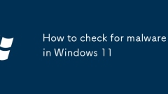 Windows 11?? ???? ???? ??