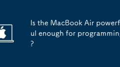 Ist das MacBook Air leistungsstark genug für das Programmieren?