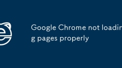 Google Chrome not loading pages properly
