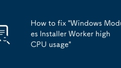 So reparieren Sie 'Windows Module Installer Worker High CPU -Nutzung'