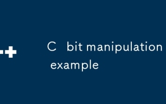 C bit manipulation example