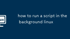 how to run a script in the background linux