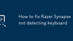 Razer Synapse를 수정하는 방법 키보드를 감지하지 않습니다