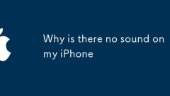 Mengapa tidak ada suara di iPhone saya