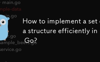 How to implement a set data structure efficiently in Go?