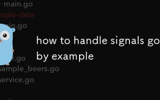 how to handle signals go by example