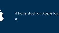 iPhone tersekat pada logo Apple