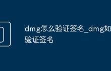 dmg怎么验证签名_dmg如何验证签名