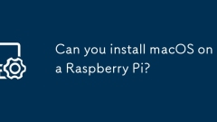 Pouvez-vous installer des macOS sur un Raspberry Pi?