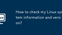 How to check my Linux system information and version?