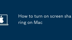 How to turn on screen sharing on Mac