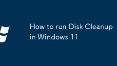 Windows 11?? ??? ??? ???? ??