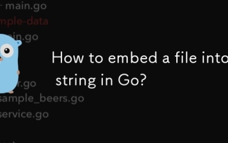 如何將文件嵌入GO中?