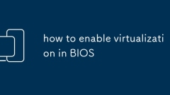how to enable virtualization in BIOS