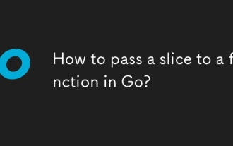 How to pass a slice to a function in Go?