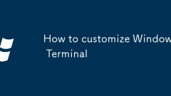 Cara menyesuaikan terminal Windows