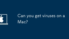 Can you get viruses on a Mac?