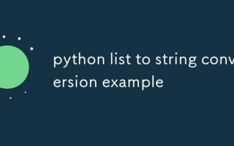 Python List to String Conversion Exemple