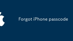Lupa kod laluan iPhone