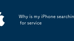 Mengapa iPhone saya mencari perkhidmatan