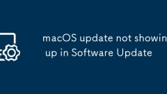 La mise à jour MacOS ne s'affiche pas dans la mise à jour logicielle