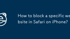 How to block a specific website in Safari on iPhone?