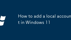 So fügen Sie ein lokales Konto in Windows 11 hinzu