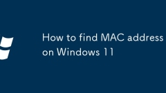 So finden Sie die MAC -Adresse unter Windows 11