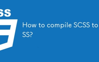 CSS? SCS? ????? ??? ??????