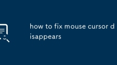 how to fix mouse cursor disappears