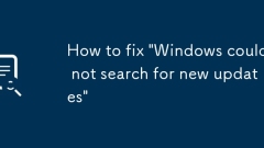 So beheben 'Windows konnte nicht nach neuen Updates suchen'
