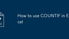 Cara menggunakan countif dalam excel