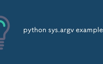Python sys.argv示例