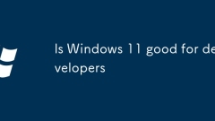 Adakah Windows 11 baik untuk pemaju