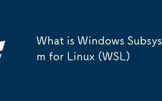 Linux (WSL) 용 Windows 서브 시스템 란?