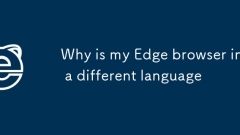 내 Edge 브라우저가 다른 언어로 된 이유는 무엇입니까?
