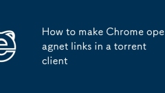 How to make Chrome open magnet links in a torrent client