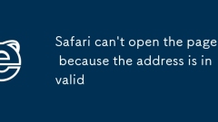 Safari can't open the page because the address is invalid