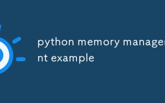 Pythonメモリ管理の例